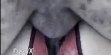 Sahin k turkish pornstar 2