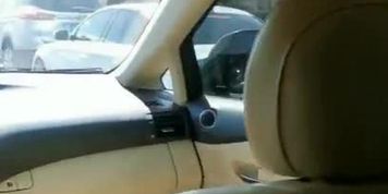 South African Chick Blowing Me Behind Uber Driver