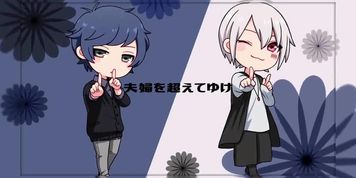 koi mp4