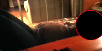 food baby belly stuffed