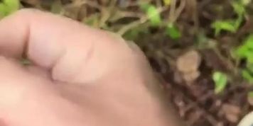 ????????????