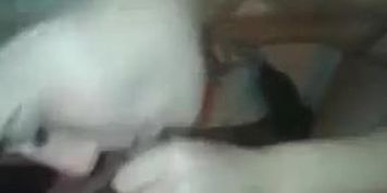?? ????????
