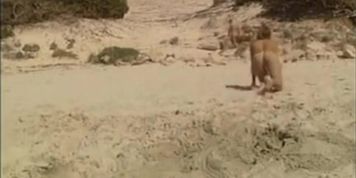 Sex On The Beach