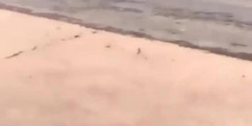 ??????????????????????????????????????