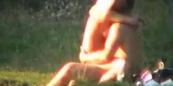 SEX NATURE