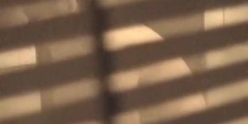 Window Peep