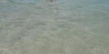 Sexy black man nude on nude beach in Florida 