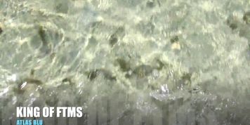 Hd: On Vacation Again! Ftm Transman Jerks Dick In The Middle Of The Ocean! (Risky)