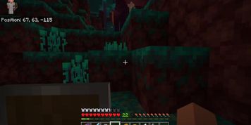 minecraft with the boys ep15 - sexual summer break (Faye Reagan, Kimmy Granger, Riley Reid, Savannah Sixx)