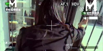 ??????????/MDL-0002 ???-005/????