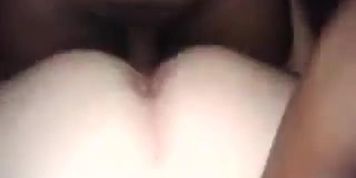 BBW NATION VOL. 11
