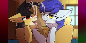 MLP Comp 78
