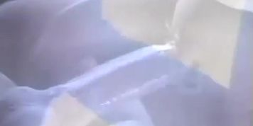 Sloppy Blowjob, Hot Fuck!