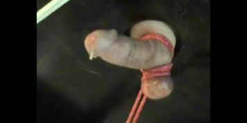 My orgasms awfully ruined by mistress Sophia