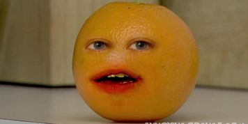 absofk as gurt