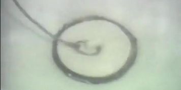 Ramona Midgett Breasts Scene  in Ice From The Sun