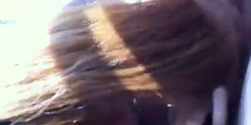 japanese amateur blowjob in a car