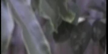 Mail Men - Scene 4