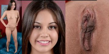 Pussy Collect Compi 2