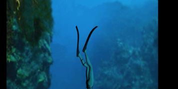 free diver