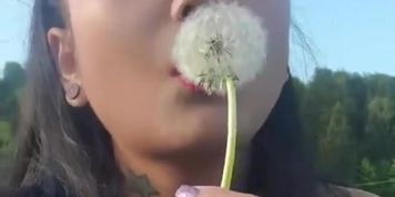 Kim XXX : Take Time To Enjoy The Day (Kim Triple X)