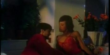 Michelle Bauer Breasts Scene  in Vampire Vixens From Venus
