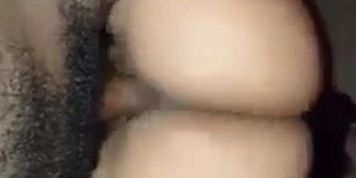 Did cock