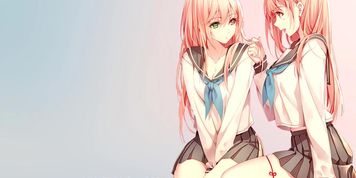 ASME twin sis