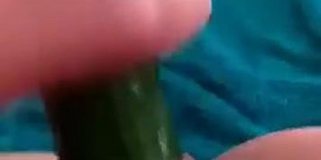 Cucumber