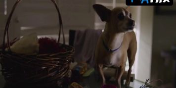 Kristen Wiig Breasts Scene  in Welcome To Me