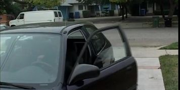 Guy Disilva vs Kitten 4