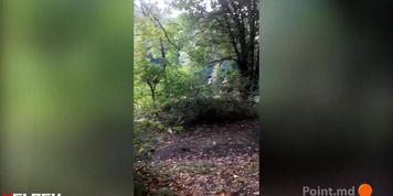 reverse perspective