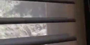 alls bathing - video 1