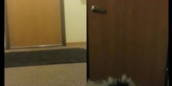 whitney wisconsin 3 - video 4