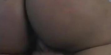 Pussi katt v. Weed 1