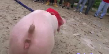 Straight college teens hazed in barn group