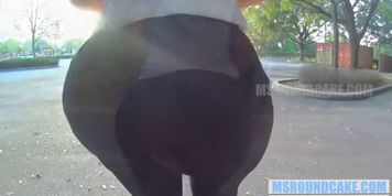 Ms Roundcake Outside
