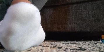 Watch My Socks as I Ignore you