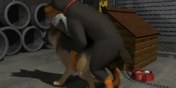 2 DOGS YIFF - SHORT ANIMATION