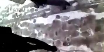 walks, the, semen, on, in, girl, back