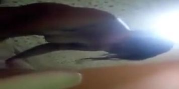 Desi prostitute bhabhi deeptroat sucking and takes cum in mo
