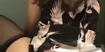 ?????????????