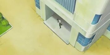Body Transfer