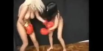 Brazilian Fight