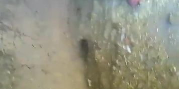 Paki girl show tits & pussy