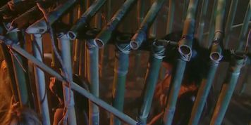 Top_rated_classic_54_4k_restoration_2160p