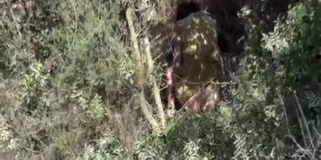 Hidden voyeur films girl peeing