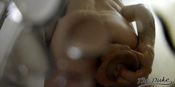 Giocando con il mio Monster Dildo di LT sotto la doccia