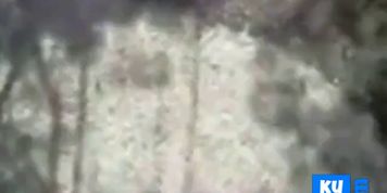 White Girl Anally Creampied In Public By Black BF