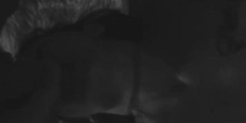 Preview of NEW, HOT amateur couple. She&rsquo;s thick and looks beautiful while sucking his big dick
